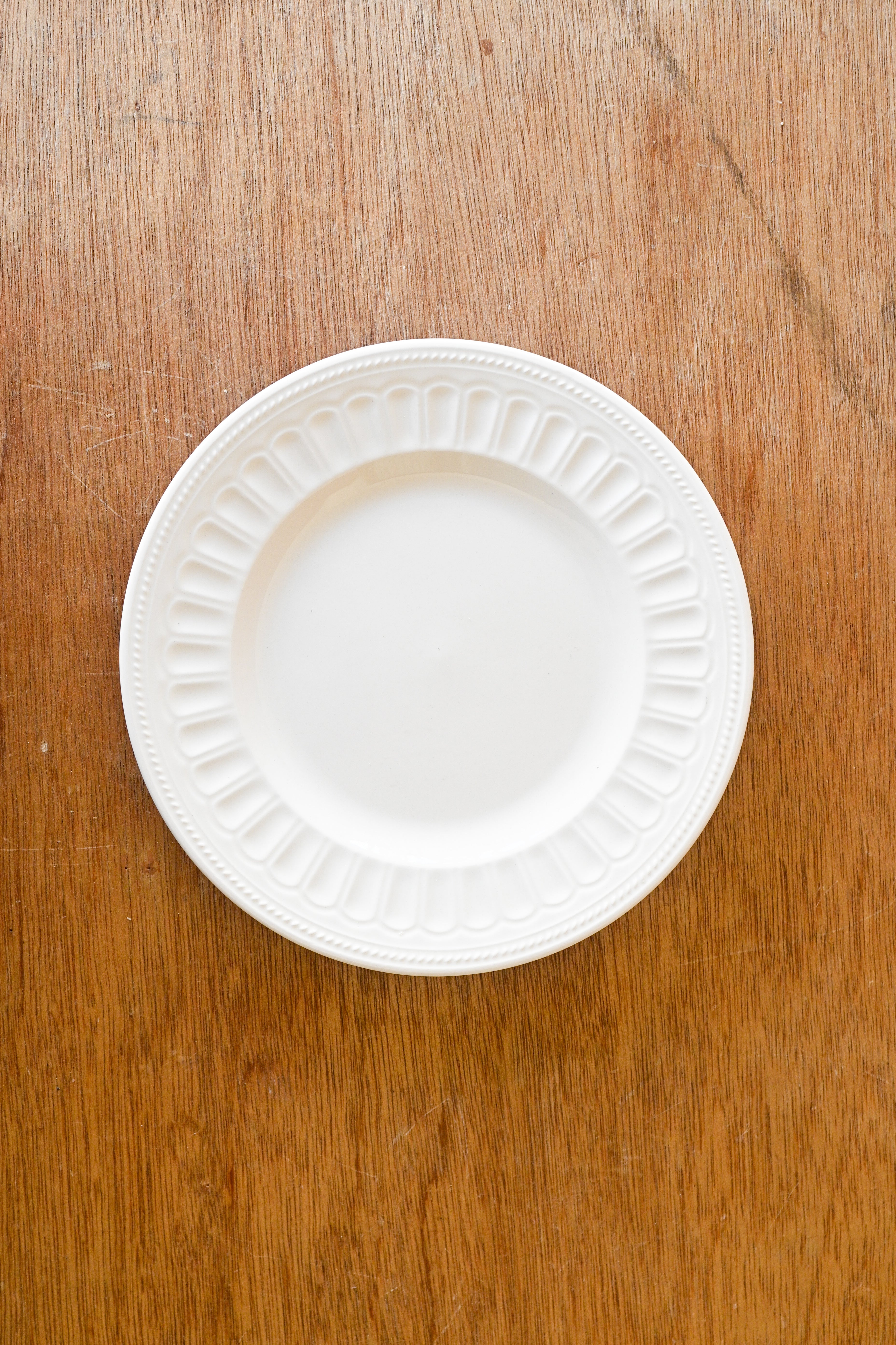 Scallop Off-White Dinner Plate