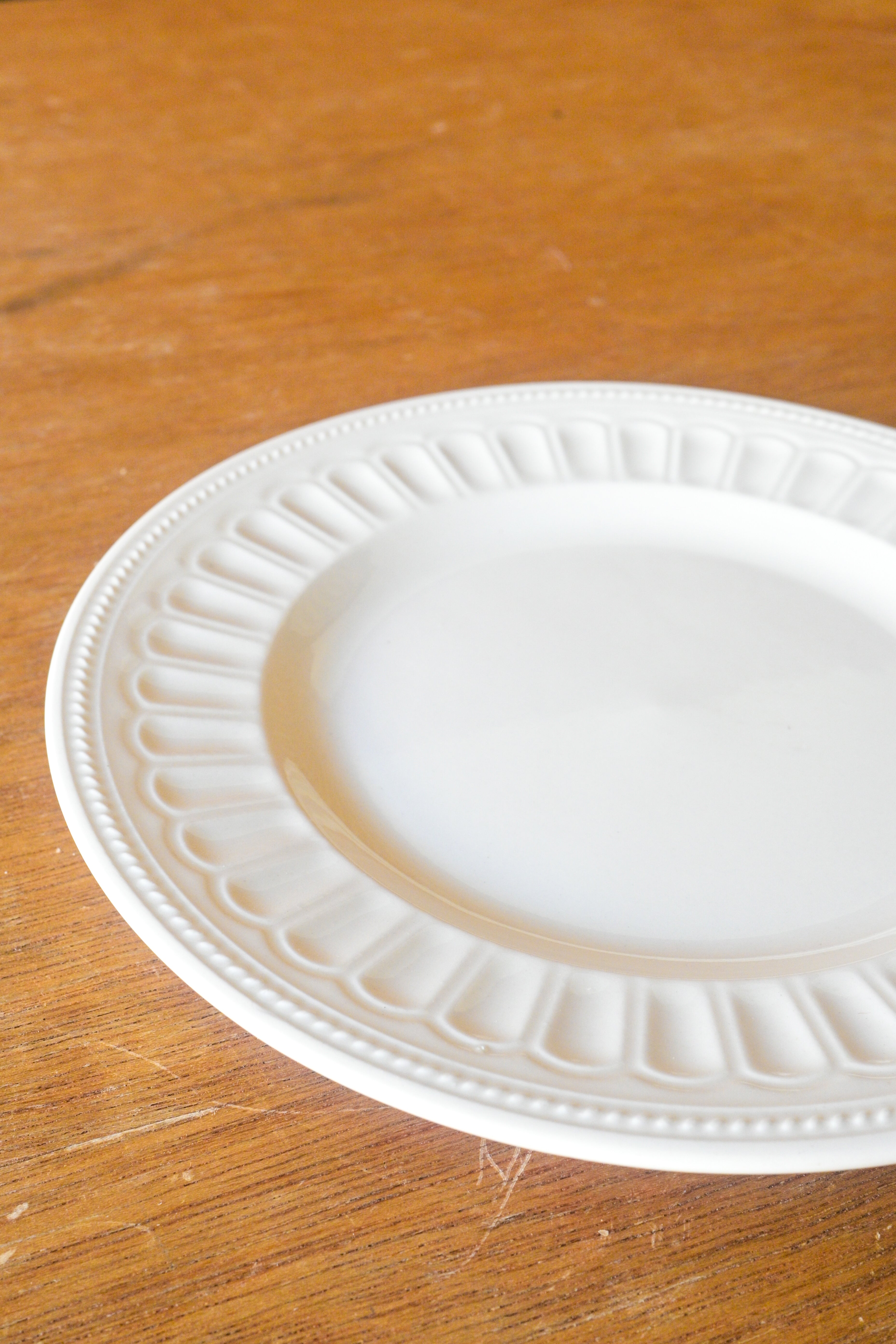 Scallop Off-White Dinner Plate
