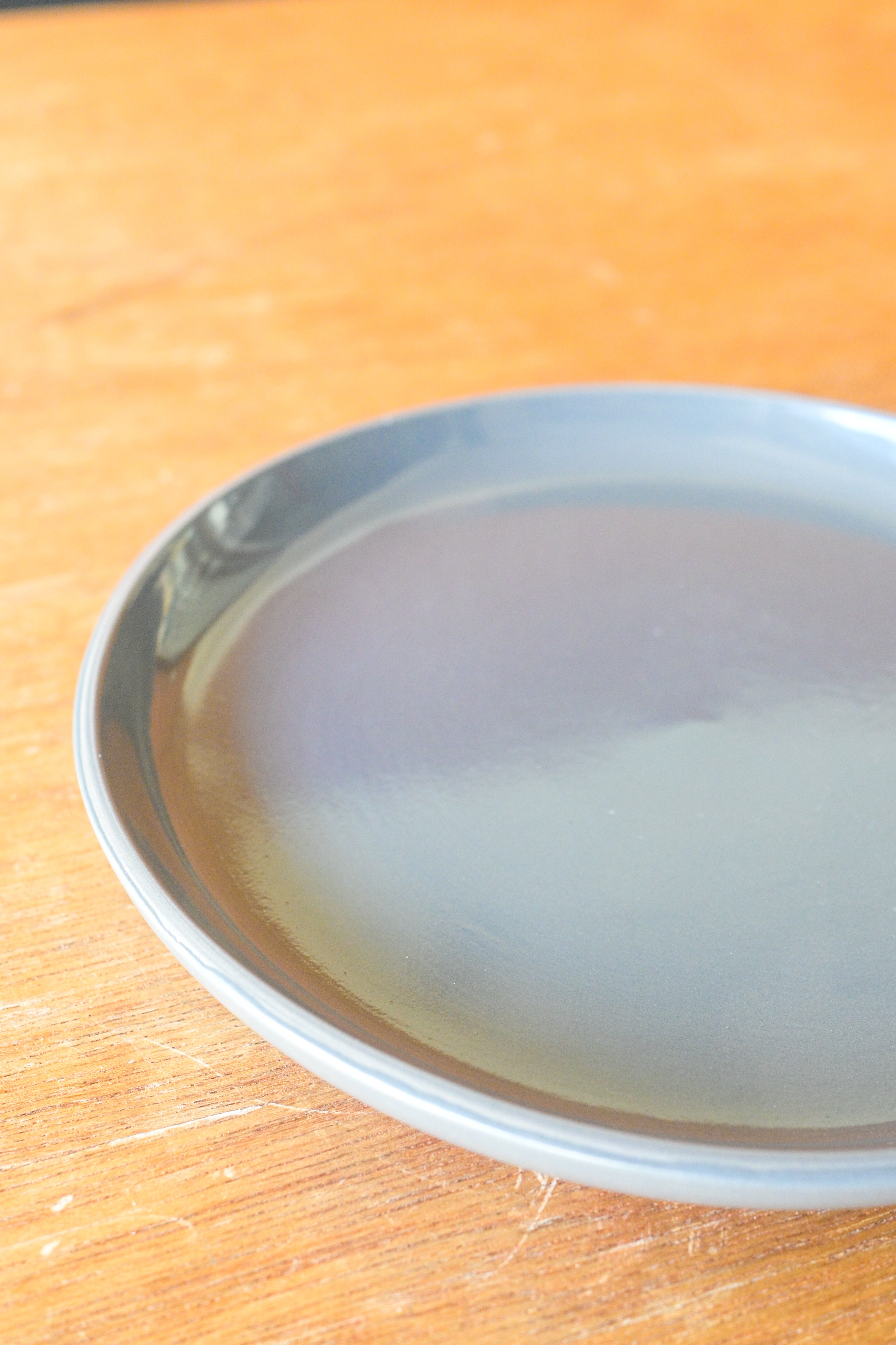 Ash Grey Dinner Plate (Clearance)