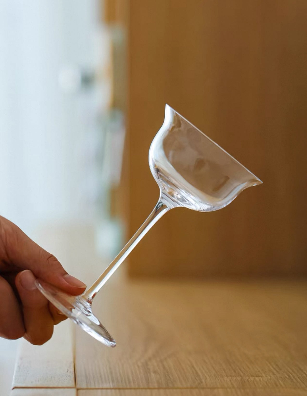 Crystal Martini Glass