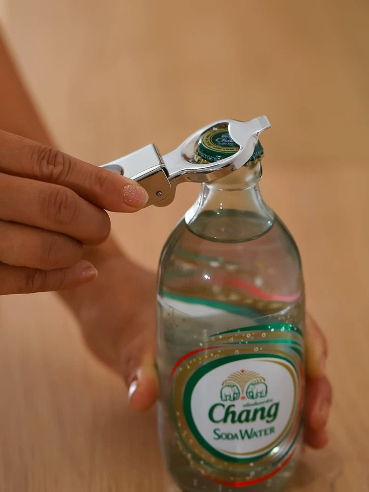 Multi-use Bottle Stopper (Set of 2)