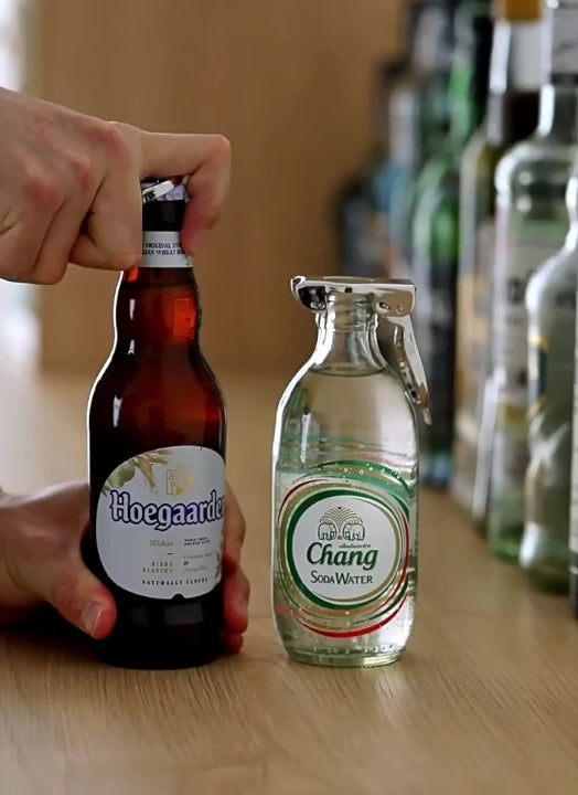 Multi-use Bottle Stopper (Set of 2)