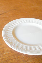Scallop Off-White Dinner Plate