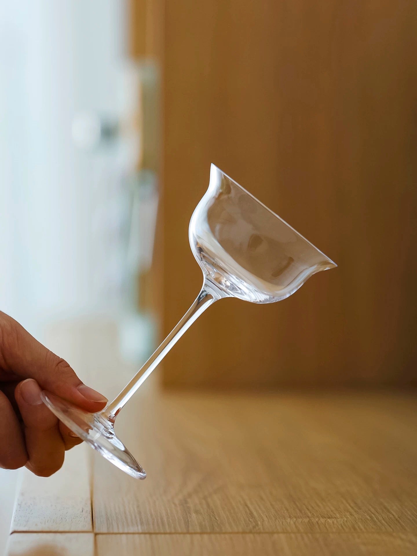 Crystal Martini Glass